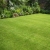 Coral Springs Lawn Maintenance by Florida's Best Lawn & Pest, LLC